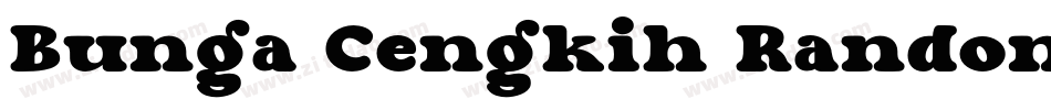 Bunga Cengkih Random字体转换